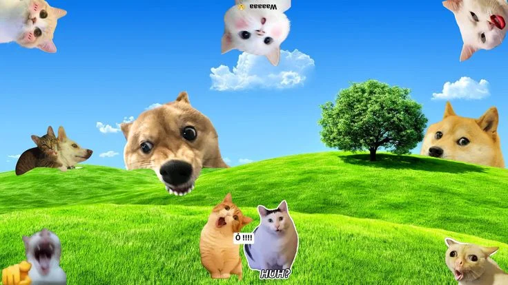 Background PC - Meme chó mèo | Background máy tính, Hinh nen desktop, Chó ngu