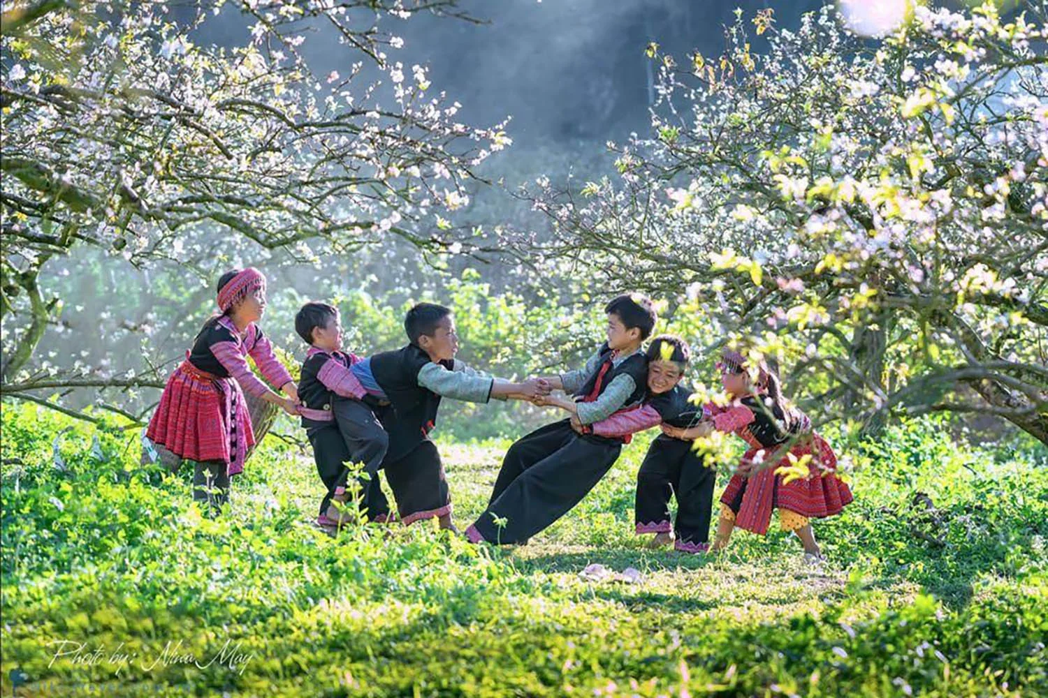 Những đứa trẻ vùng cao vui chơi dưới cây hoa đào
