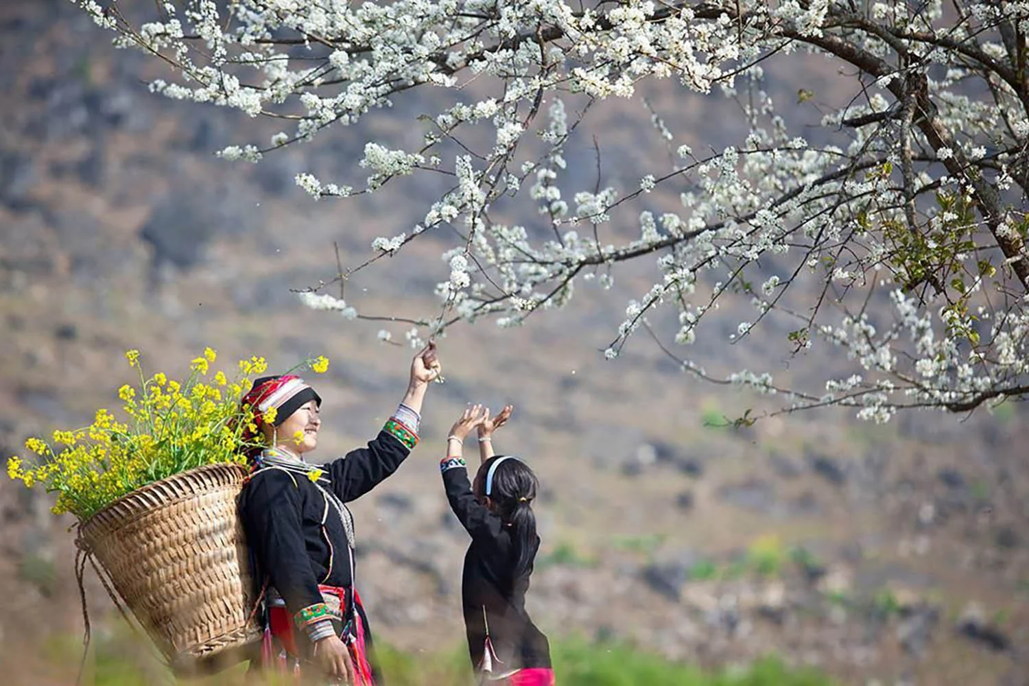 Ngày xuân của những người dân trên bản vùng cao