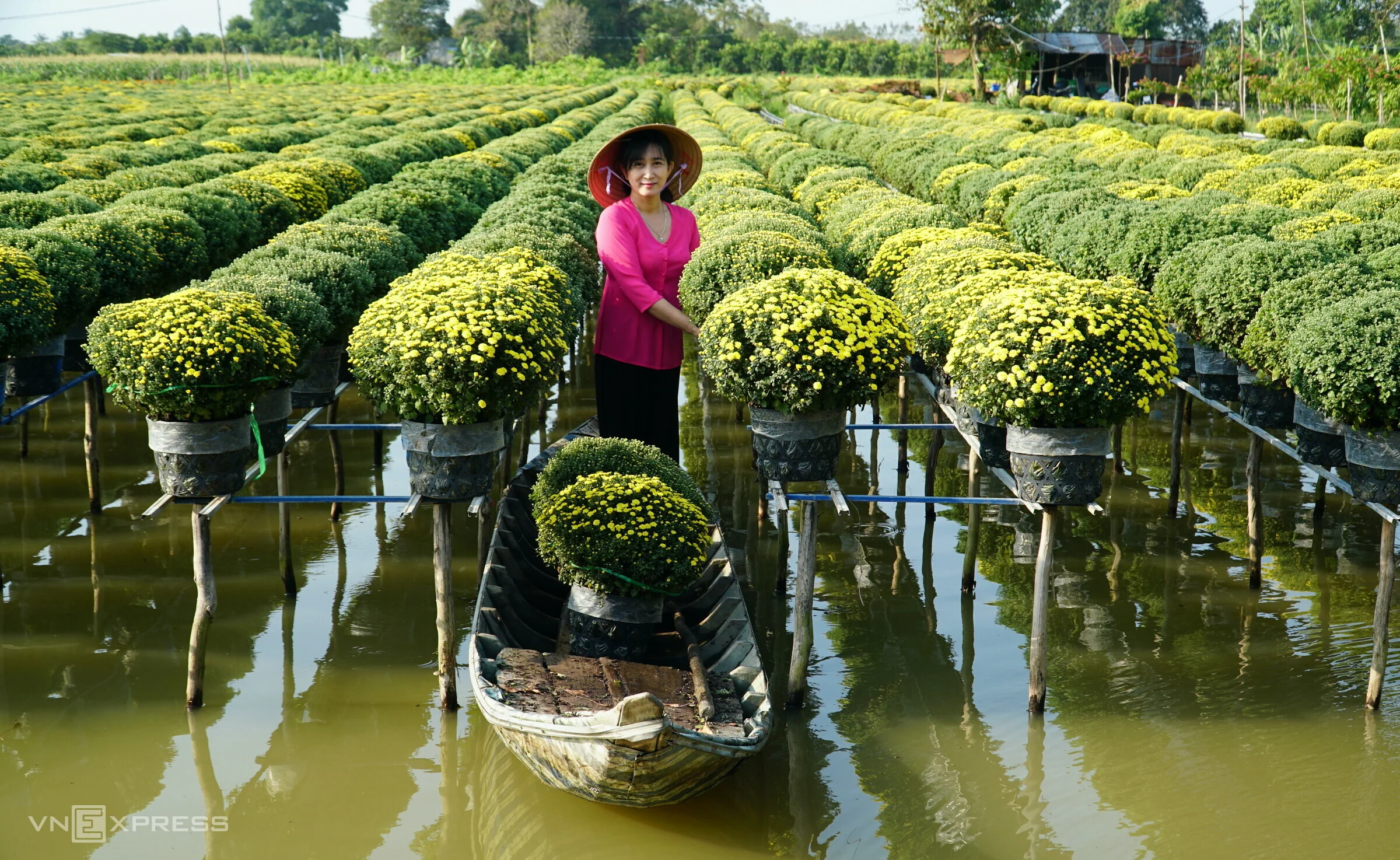 Làng hoa miền Tây ngày xuân