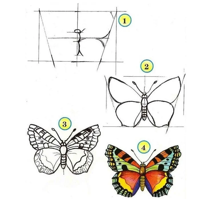 10+ cách vẽ con bướm đơn giản, dễ thương cho bé từng bước chi tiết (3)