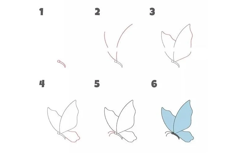 10+ cách vẽ con bướm đơn giản, dễ thương cho bé từng bước chi tiết