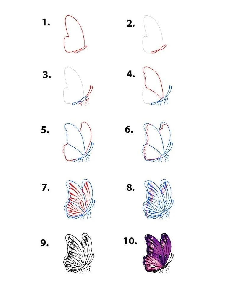 10+ cách vẽ con bướm đơn giản, dễ thương cho bé từng bước chi tiết (2)