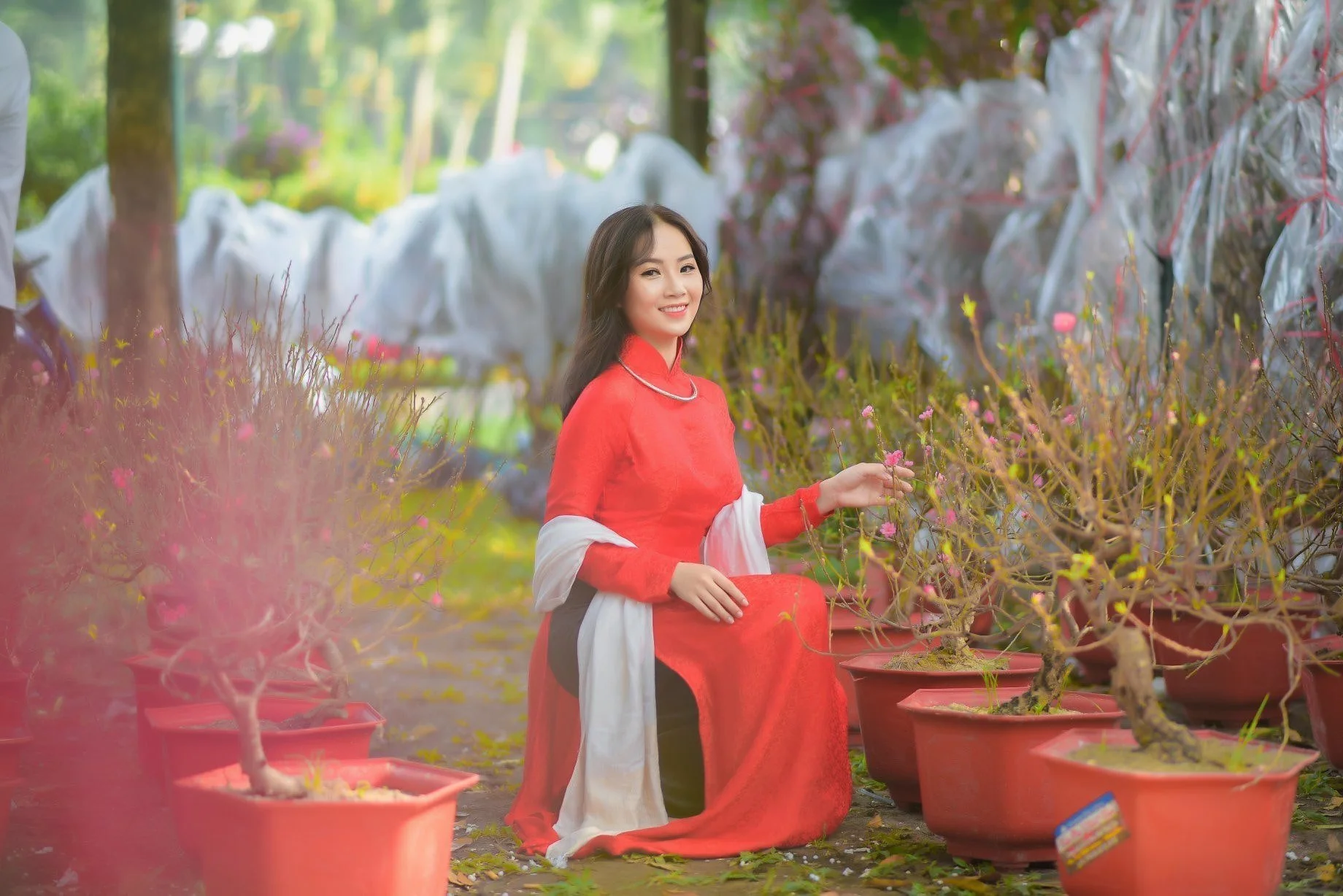 Ảnh người con gái Việt mặc áo dài đón tết