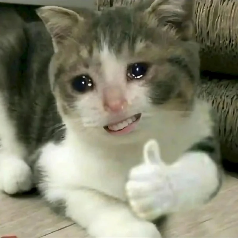 ảnh Meme mèo cười nhe răng