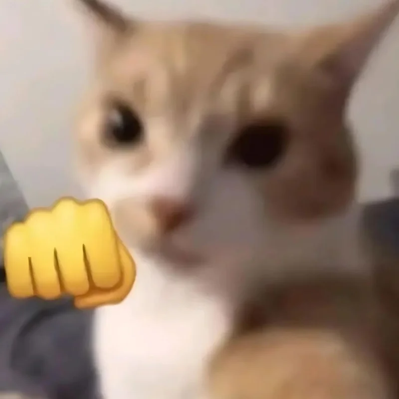 Ảnh meme mèo cười chỉ tay sai bảo ra lệnh