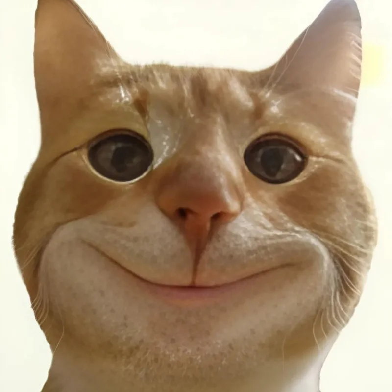 ảnh Meme mèo cười đểu
