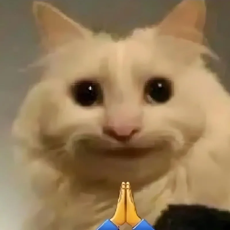 ảnh Meme mèo cười đểu tếu nhất