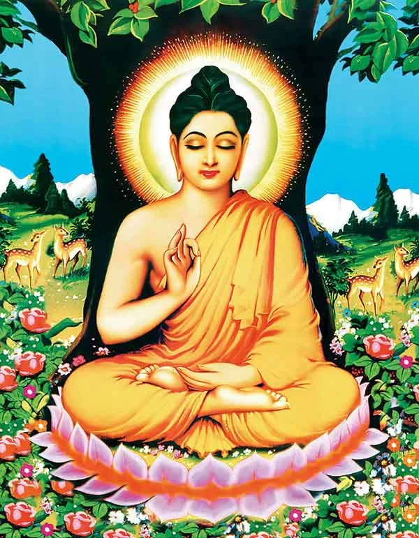 Phat Thich Ca Mau Ni (10)