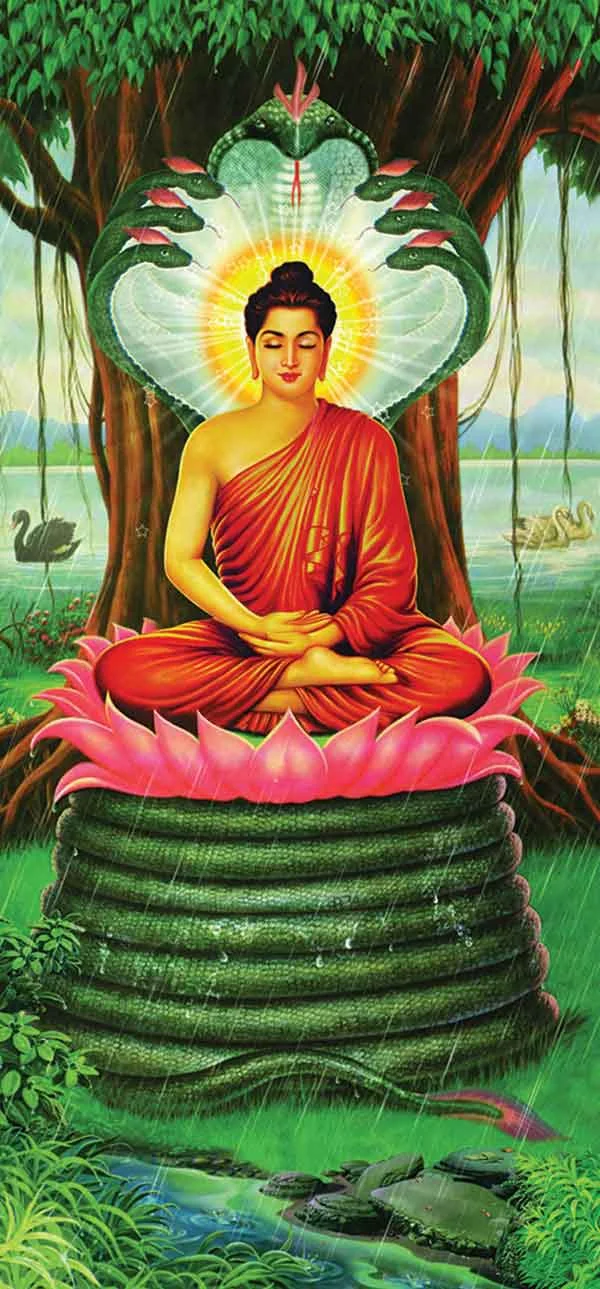 Phat Thich Ca Mau Ni (2)