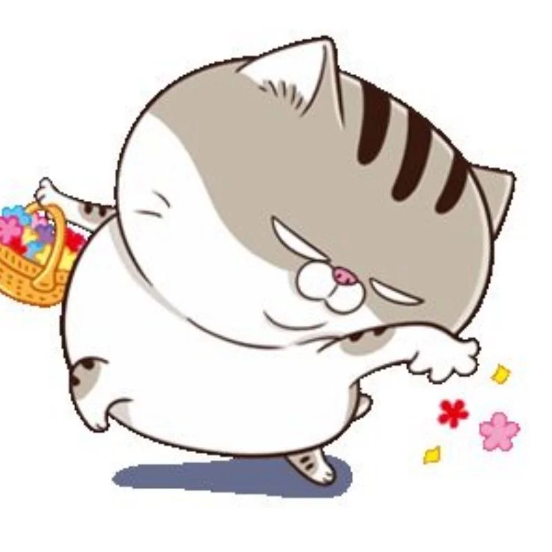 Avatar ảnh mèo cute đang nhảy múa tung hoa hoạt hình